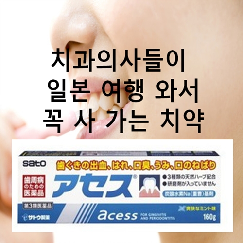 ★사토 아세스 치약 160g,민트향