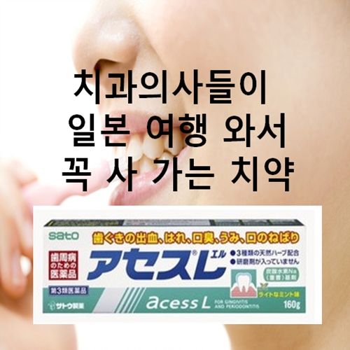 ★사토 아세스 치약 160g,연한민트향